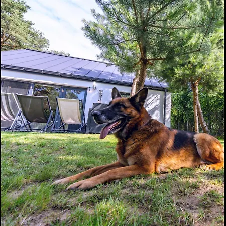 Narev Wakacyjne Kazdy Dom Na Wylacznosc Oddzielnie Ogrodzony