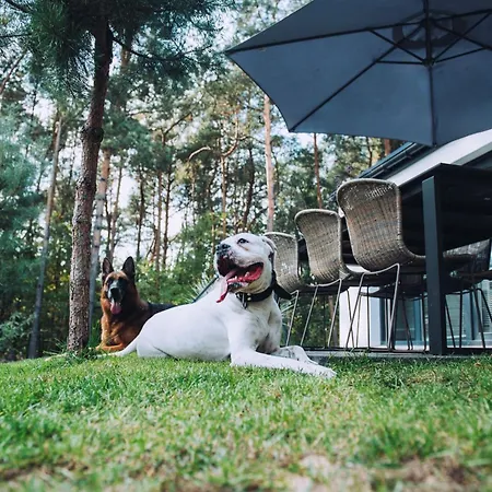 Narev Wakacyjne Kazdy Dom Na Wylacznosc Oddzielnie Ogrodzony Vakantiehuis